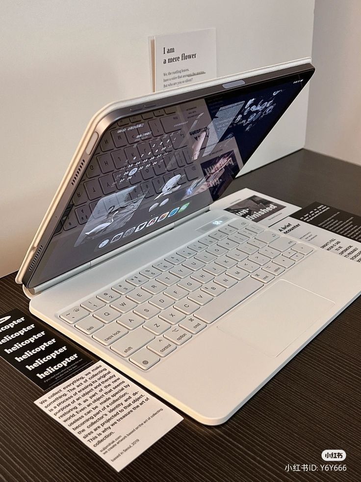 The Sebo X7 Excel – Can You Only Buy Them in John Lewis?